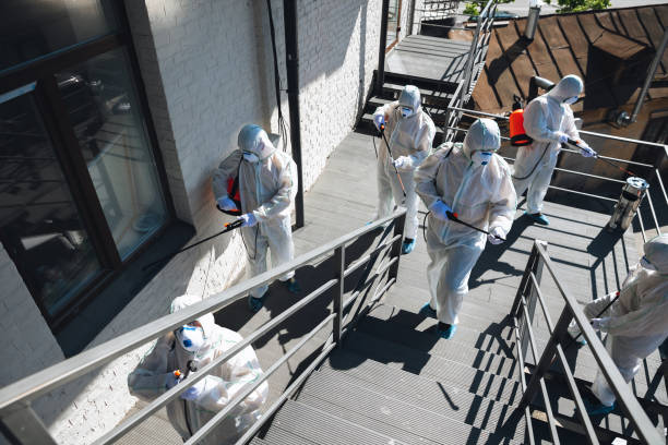 Best Mold Documentation for Insurance Claims  in Newmanstown, PA