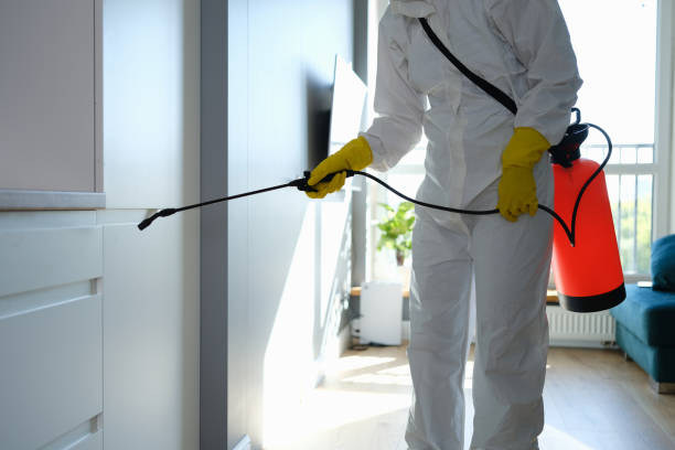 Best HVAC Mold Inspection and Cleaning  in Newmanstown, PA